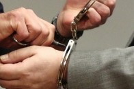 Кияни накрали норкових шуб на півтора мільйона гривень