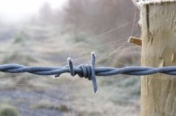 На Закарпатті труп сільського вчителя знайшли на огорожі