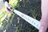 Волинянину заборонили користуватися землею, яку він відсудив у школи