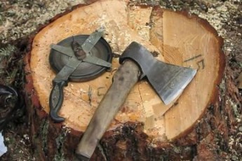На Волині покарають посадовця лісгоспу за незаконну рубку дерев у заказнику