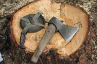 На Волині покарають посадовця лісгоспу за незаконну рубку дерев у заказнику