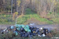 У луцький центральний парк хтось звозить купи сміття