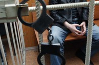У Луцьку цього року розкрили усі умисні вбивства