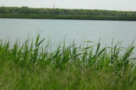 Клімчук шукає на Волині нічийні ставки та греблі
