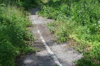 У центральному парку Луцька буде дитячий автодром