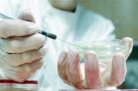 На Рівненщині кількість хворих на кір стрімко збільшується: захворіло вже майже 70 дітей