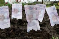 На Волині посадовець роздавала землю сільськогосподарського призначення під житло