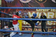 Спортсмени з Волині перемогли на всесвітньому чемпіонаті з кікбоксингу