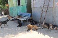 Луцьке КП «Ласка» 2 роки користувалось складськими приміщеннями без погоджувальних документів