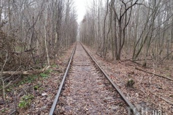 У найромантичнішому місці України порубали дерева