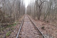 У найромантичнішому місці України порубали дерева