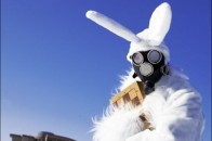 Волинські депутати виділили майже мільйон гривень на протигази