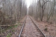 Вирубку дерев у славнозвісному «Тунелі кохання» перевірить прокуратура