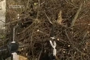 На цвинтарі у Луцьку люди поглумились над давніми могилами