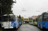 У Луцькій мерії планують скоротити керівництво підприємства електротранспорту