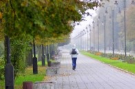Луцький парк збагатиться новими деревами