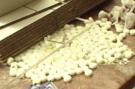 На Донеччині прикрили підпільне виробництво ліків