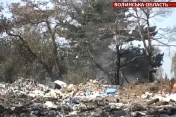 Волиняни скаржаться на сміттєзвалище під Ківерцями через страшенний сморід та зграї агресивних бродячих псів