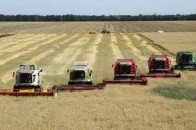 На Волині селяни не мають ринків збуту своєї продукції
