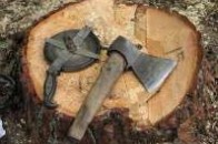 Волинські лісівники незаконно вирубали дерева на території державного заказника?