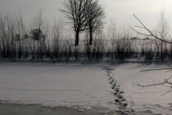 Волинські рятувальники досі шукають хлопчика, який зник ще у минулому році