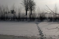 Волинські рятувальники досі шукають хлопчика, який зник ще у минулому році