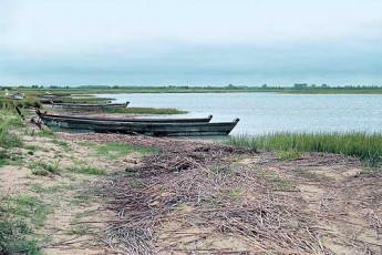 Біля Світязя забруднюють ґрунтові води, тому що немає каналізації