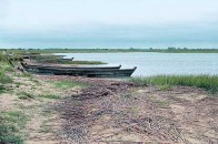 Біля Світязя забруднюють ґрунтові води, тому що немає каналізації