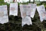 Волинське підприємство, що банкрутить голова РДА, - на грані ліквідації