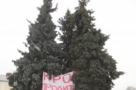 Яка у Луцьку буде новорічна ялинка