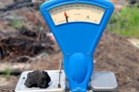 На Волині за місяць продали землі на понад мільйон гривень