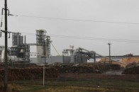 Волиняни написали лист Генсеку ООН