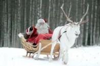 За якими маршрутами курсуватимуть луцькі автобуси в новорічну ніч