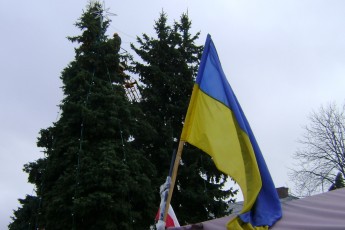 Де у Луцьку прикрасять ялинки до новорічних свят