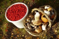 На якій продукції район на Волині отримує по 2 мільйони податків