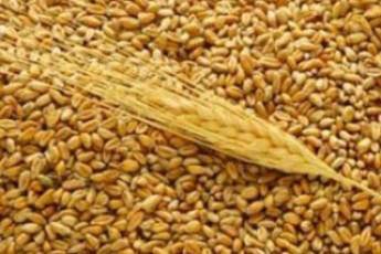 Україна продасть китайцям харчів на 4 мільярди доларів