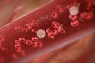 Що відповів Клімчук на запит про надання допомоги хворим на лейкемію