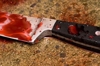 Нові подробиці кривавого вбивства на Волині