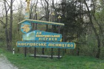 На Волині охорона лісгоспу затримала майже сотню порушників