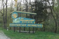 На Волині охорона лісгоспу затримала майже сотню порушників