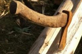 Волиняни незаконно зрізали дерева захисної смуги