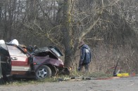 На Волині водій не розминувся з деревом