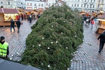 В «Борисполі» на пасажирів впала ялинка