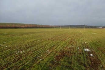Волинських аграріїв насторожує аномальне потепління