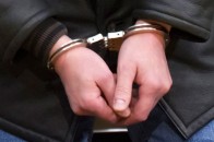 Озброєний лучанин викрав 9 кролів і загримів за ґрати на 4 роки