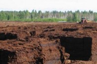 Гроші за волинський торф таки виводять на Кіпр, - ЗМІ