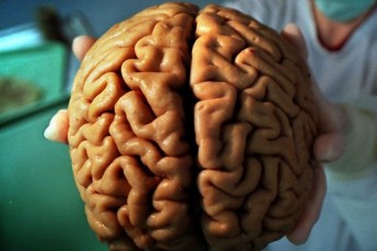 У 2014 році влада буде економити на науці