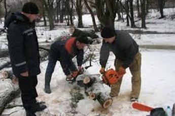 У Луцьку розчистять парк та зроблять нове освітлення