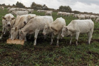Волинські податківці кажуть, що Клімчук їх звинувачує дарма