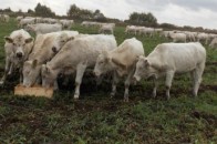 Волинські податківці кажуть, що Клімчук їх звинувачує дарма